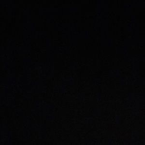 Meet your Posher, Maddie